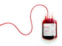 According to the Red Cross, a single blood donation can save up to three people. Have you ever donated blood?